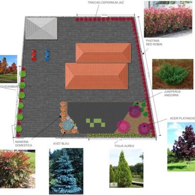 Disseny Jardins 00009