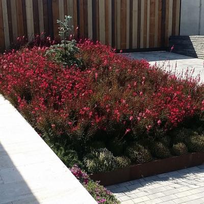 Disseny Jardins 00012