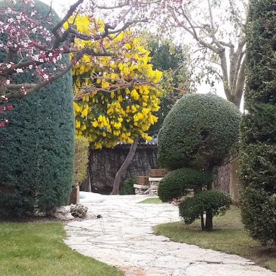 Disseny Jardins 00019